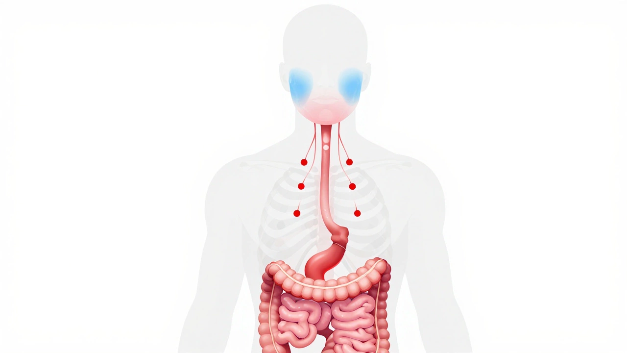 Diagram linking gut inflammation to facial swelling